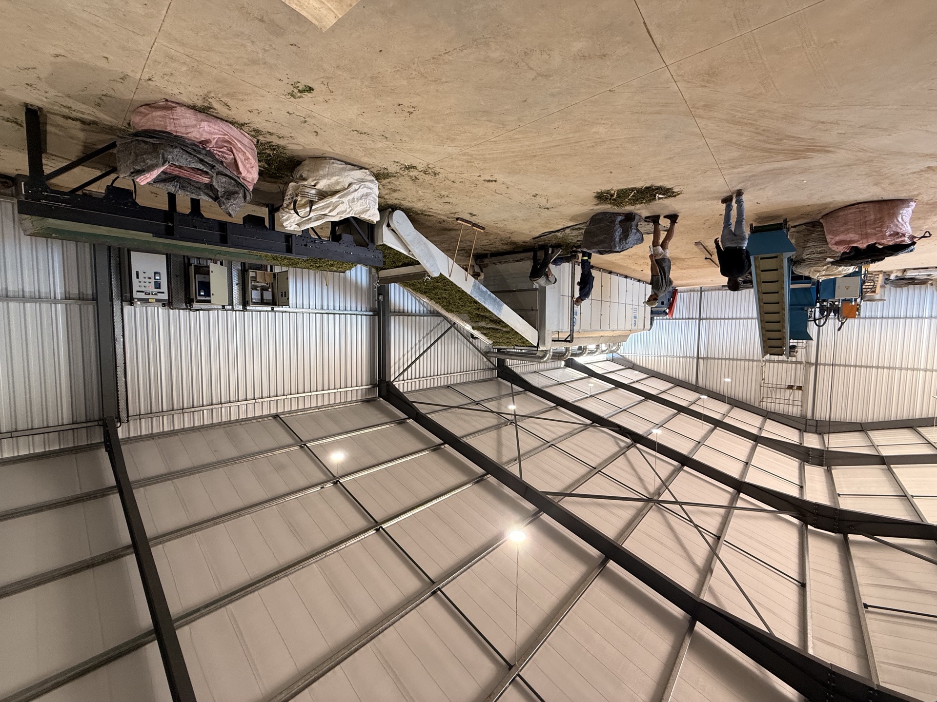 Wide view inside the processing facility showing the dryer infeed and floor