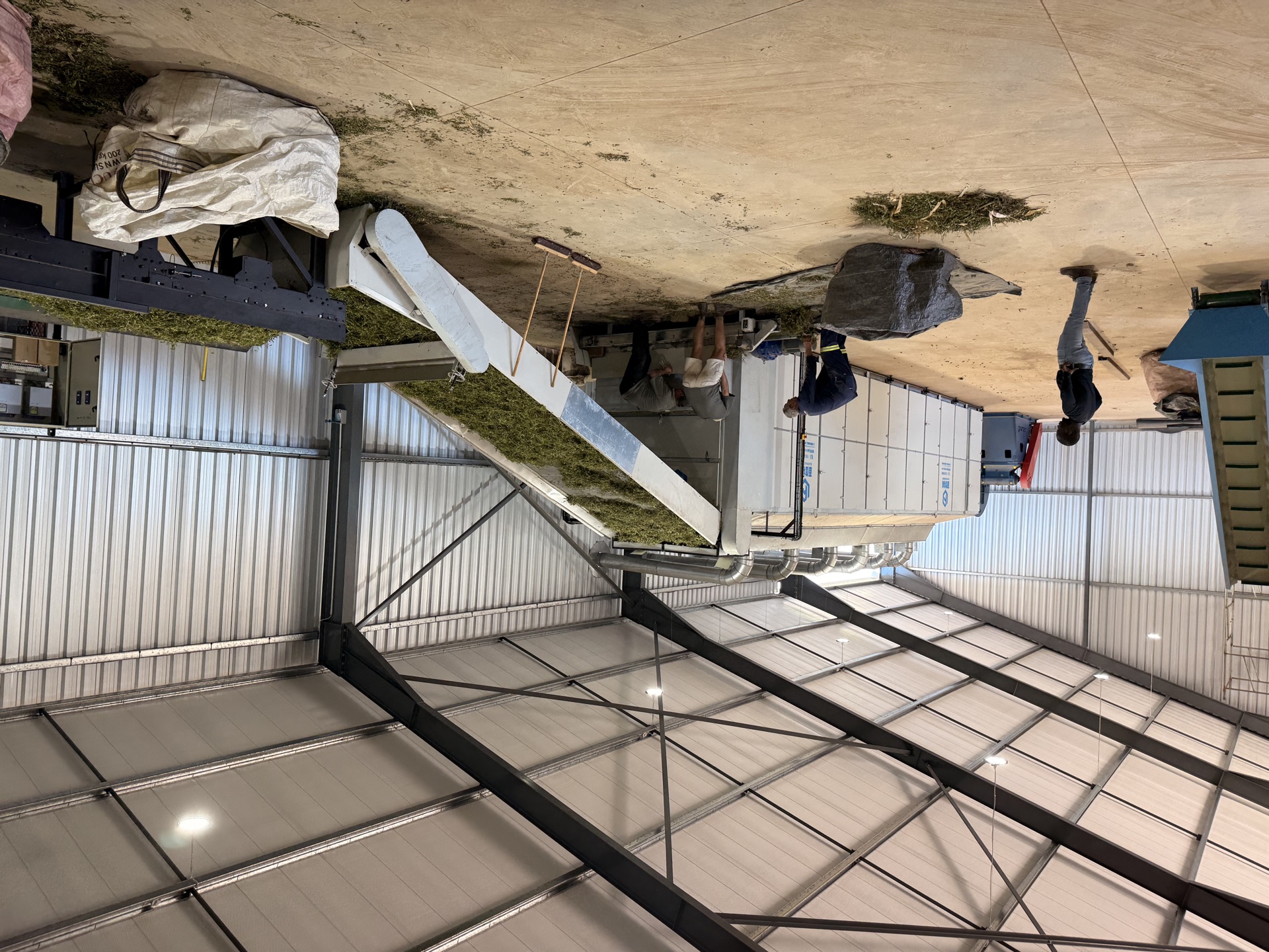 Workers around the conveyor with bags of dried leaf in the foreground