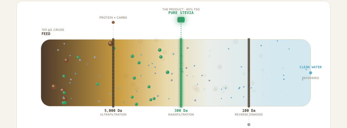 Diagram: raw stevia extract passing through ultrafiltration, nanofiltration and reverse osmosis, capturing pure steviol glycosides at the 300-Dalton filter