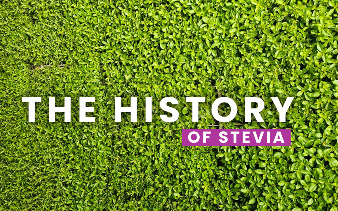 The History of Stevia: From Ancient Use to Modern Popularity