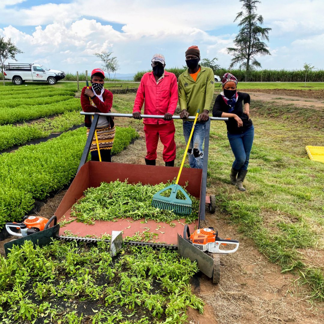 Cropmanagement